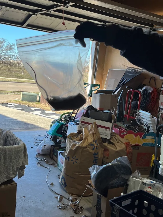 Total Home Pest Solutions, Ellis County — pest control in Waxahachie, ELLIS County, TX