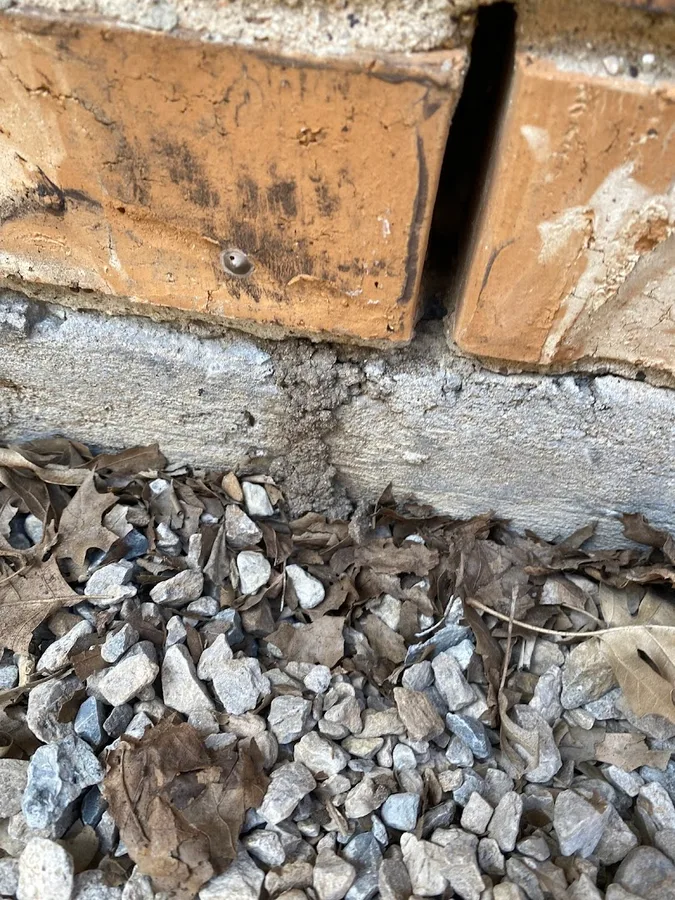 Total Home Pest Solutions, Ellis County in Waxahachie, TX — business photo 2