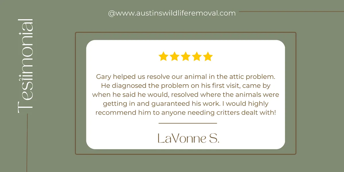 Austin's Wildlife Removal Services in Round Rock, TX — business photo 4