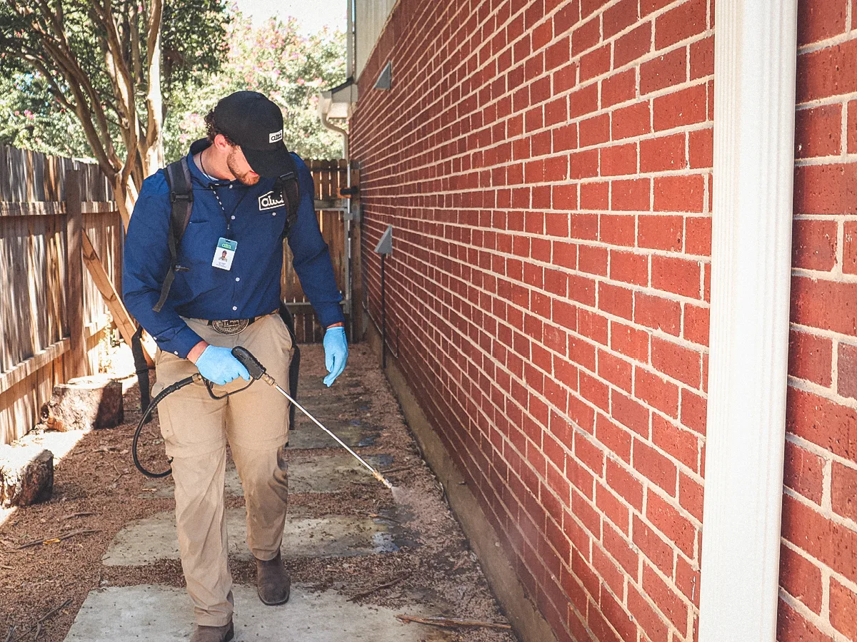 Alta Pest Control in Dallas, TX — business photo 4