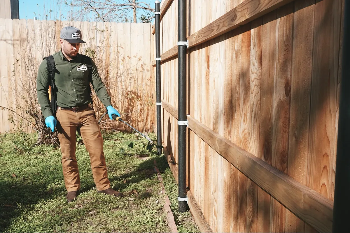 Alta Pest Control in Dallas, TX — business photo 5