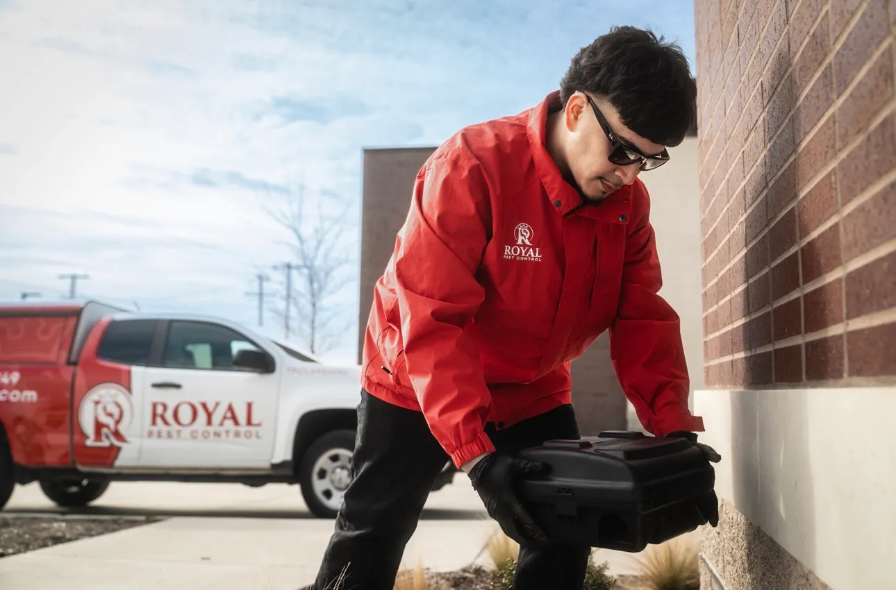 Royal Pest Control — pest control in Fort Worth, TARRANT County, TX