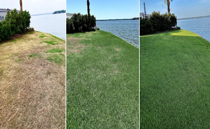 American Turf & Pest Titans, Inc. — pest control in Montgomery, MONTGOMERY County, TX