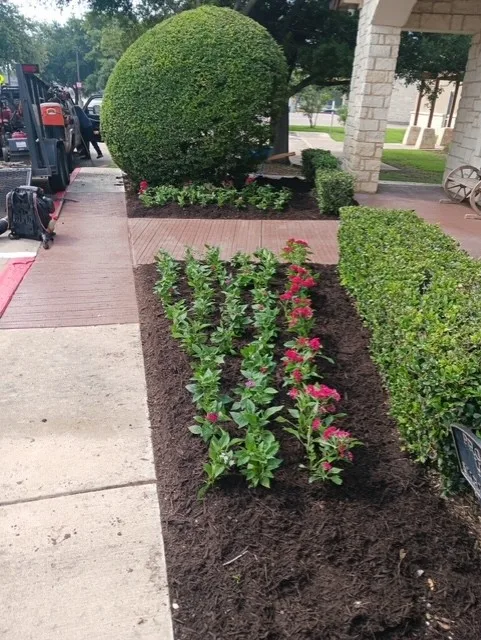 Capital Lawn & Pest LLC — pest control in Leander, WILLIAMSON County, TX