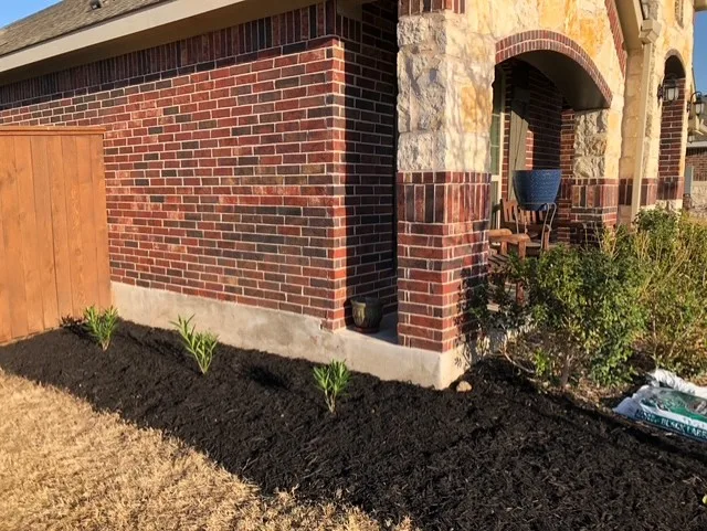Capital Lawn & Pest LLC in Leander, TX — business photo 4