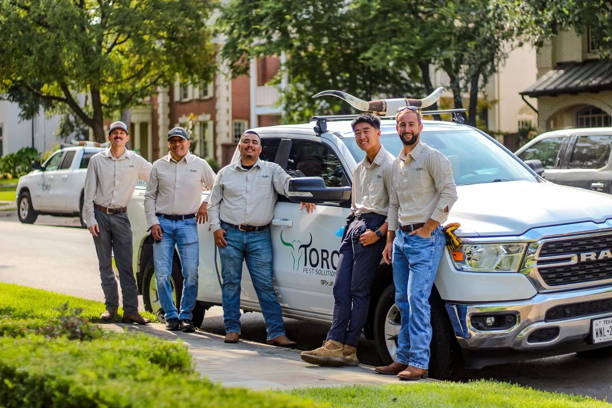 Toro Pest Solutions — pest control in Dallas, DALLAS County, TX