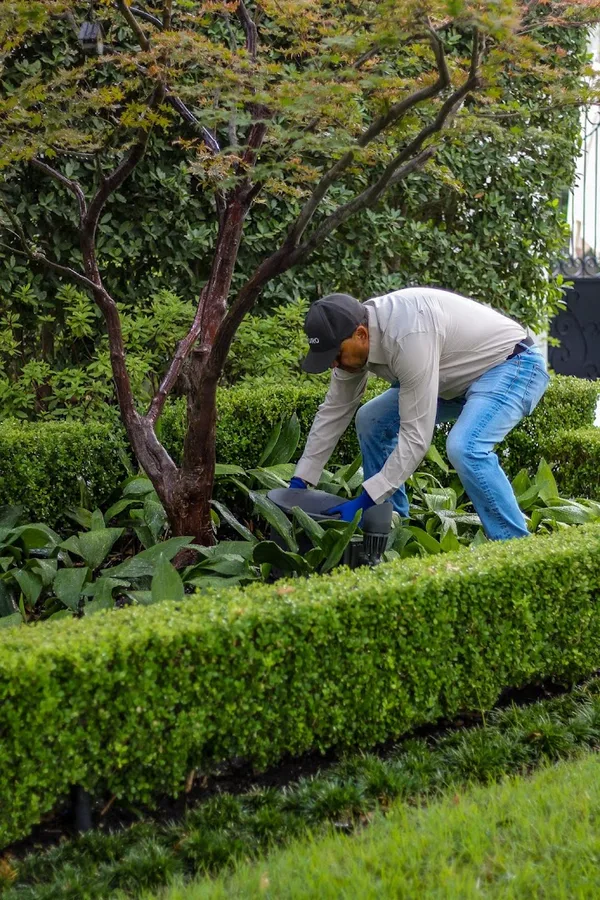 Toro Pest Solutions in Dallas, TX — business photo 4