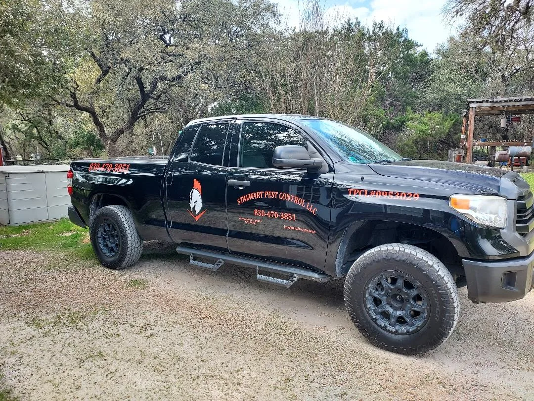 Stalwart Pest Control LLC — pest control in New Braunfels, COMAL County, TX