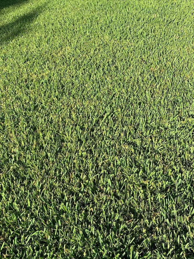 Gecko Green Lawn Care in The Colony, TX — business photo 4