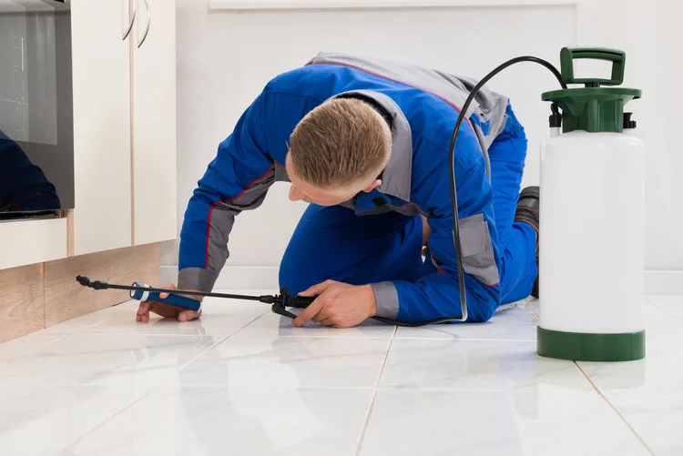Brush Country Pest Services — pest control in Pleasanton, ATASCOSA County, TX