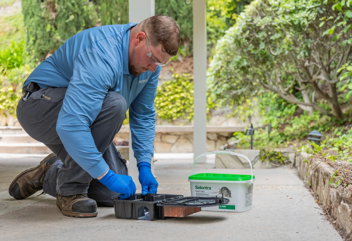 Brooks Pest Solutions in Houston, TX — business photo 6