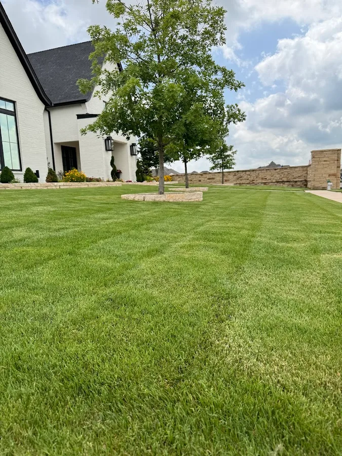 Sureguard Lawn & Pest in Lewisville, TX — business photo 4