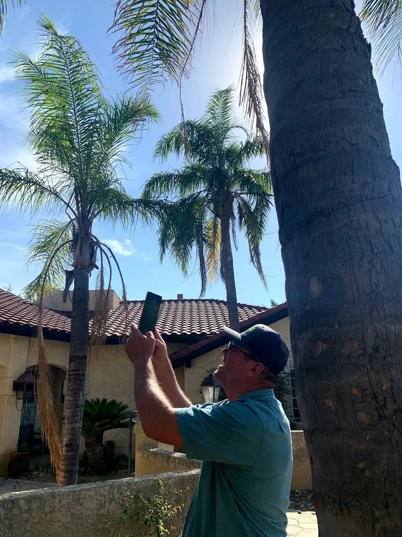 Cactus Property Inspections & Exterminators in Carrizo Springs, TX — business photo 6