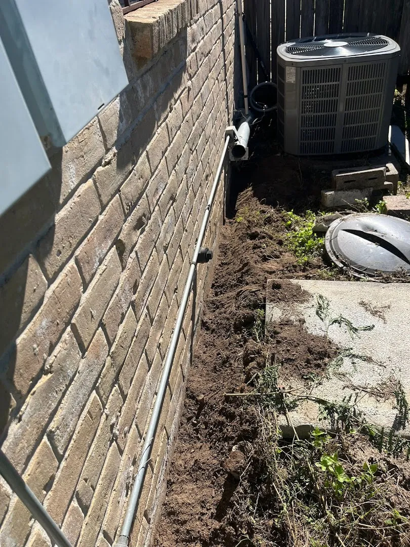 Pest Master Katy | Pest Control in Richmond, TX — business photo 4