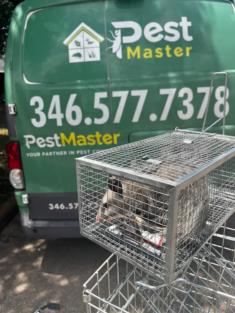 Pest Master Katy | Pest Control in Richmond, TX — business photo 6