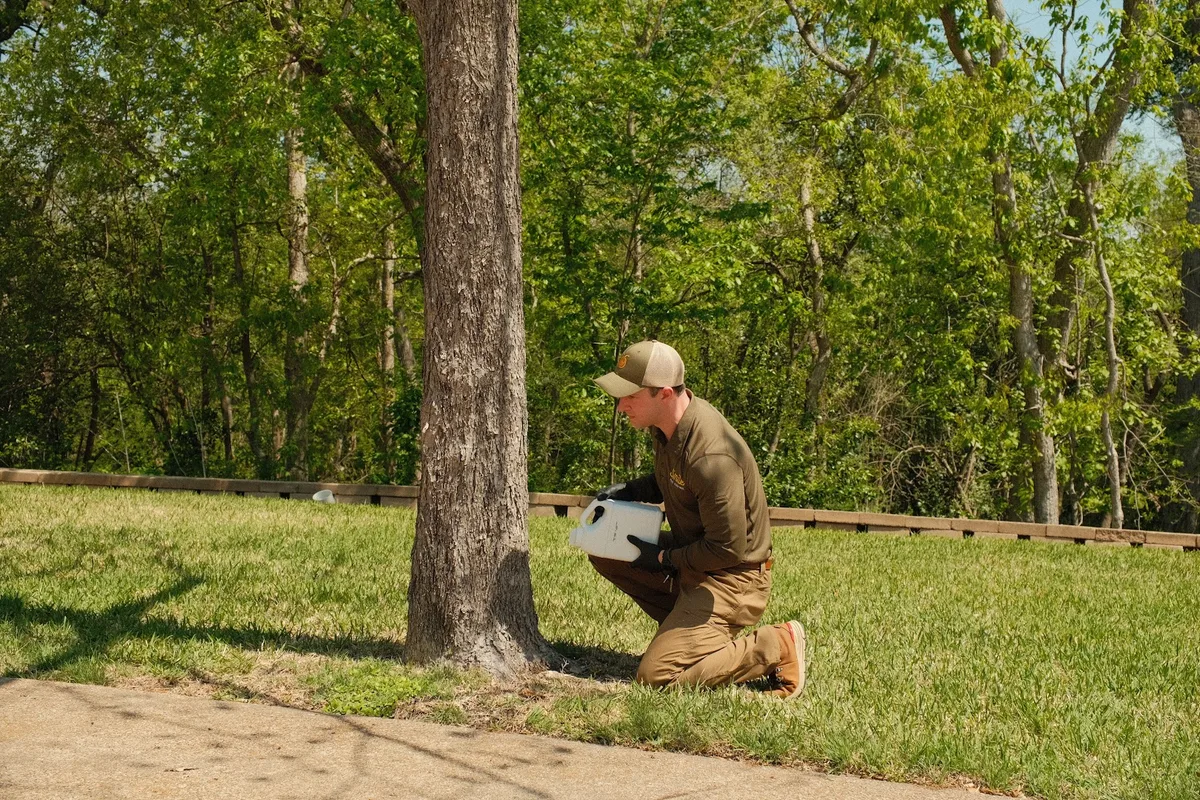 Smile Pest Control in Dallas, TX — business photo 3