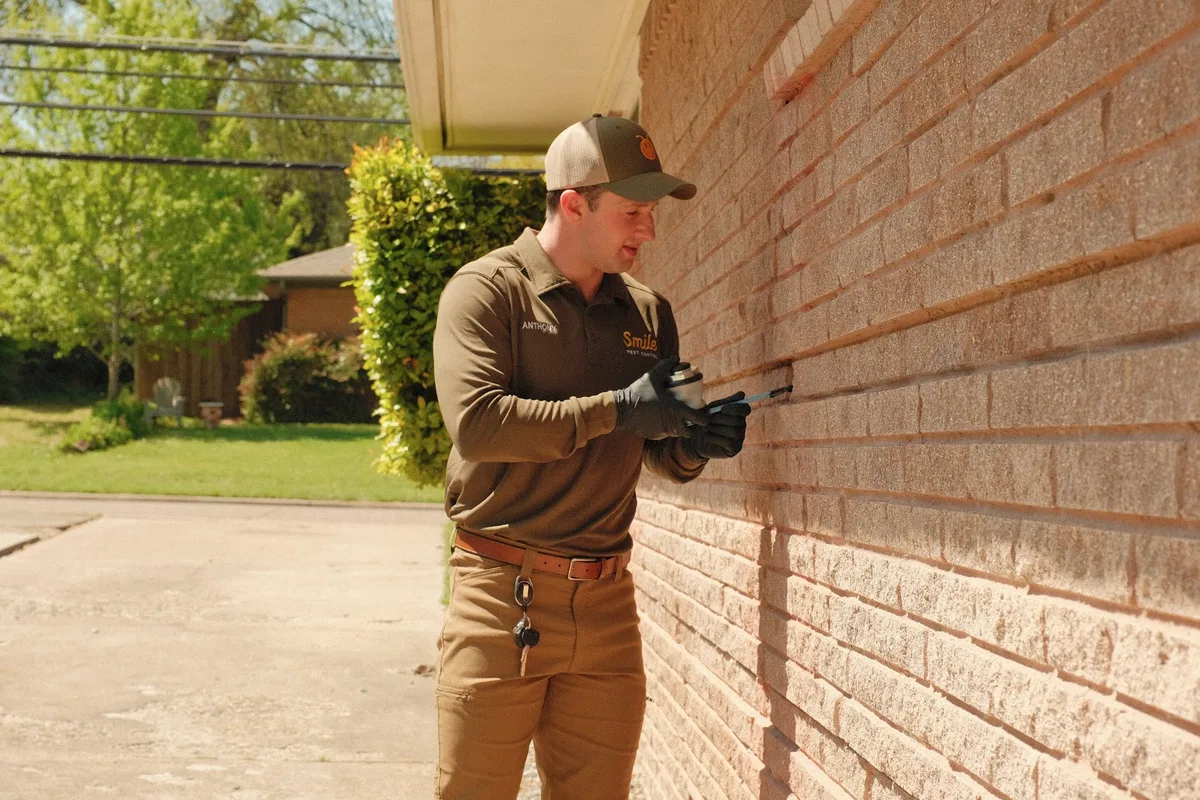 Smile Pest Control in Dallas, TX — business photo 4