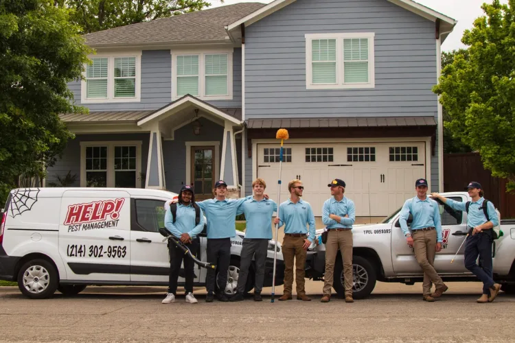 HELP! Pest Management in Euless, TX — business photo 2