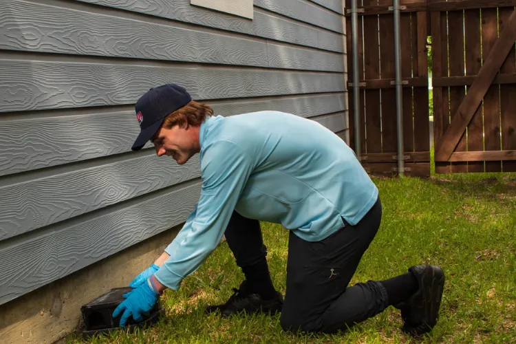HELP! Pest Management in Euless, TX — business photo 3
