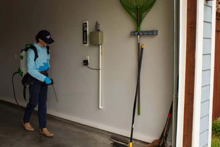 HELP! Pest Management in Euless, TX — business photo 4