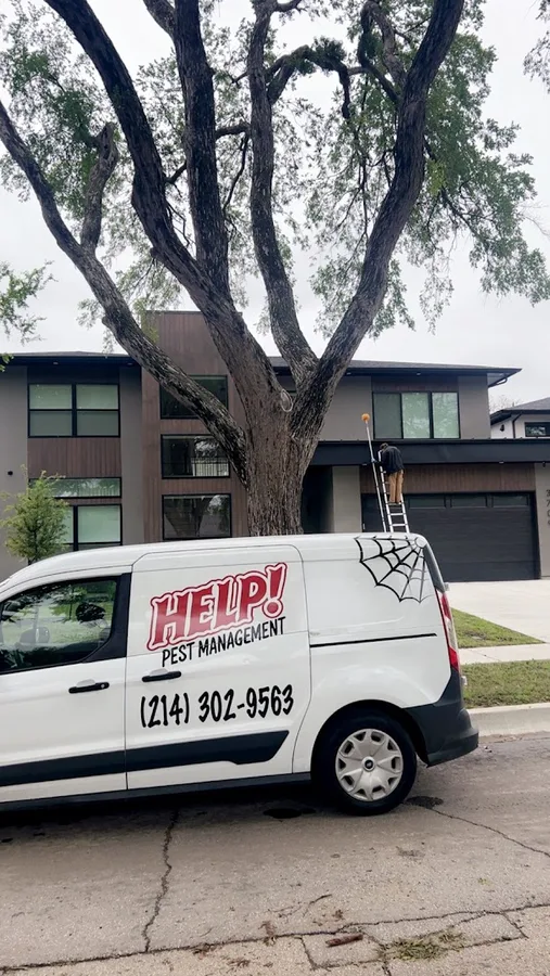 HELP! Pest Management in Euless, TX — business photo 5