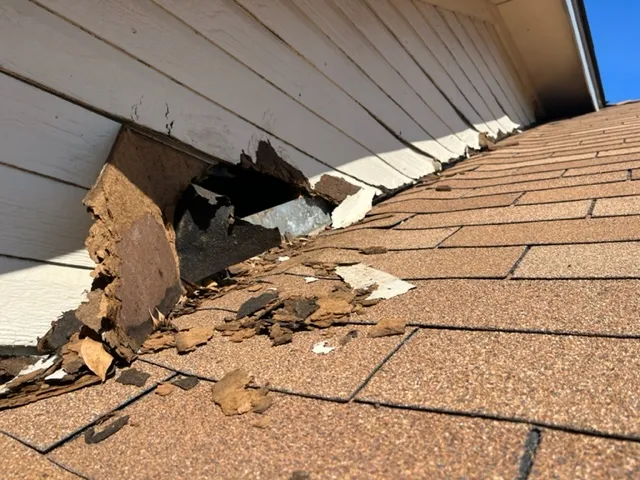 Animal Control Experts in Austin, TX — business photo 3