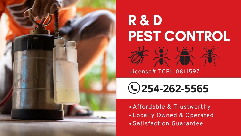 R&D Pest Control in West, TX — business photo 4