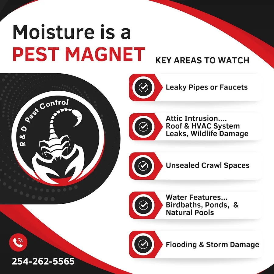 R&D Pest Control in West, TX — business photo 5