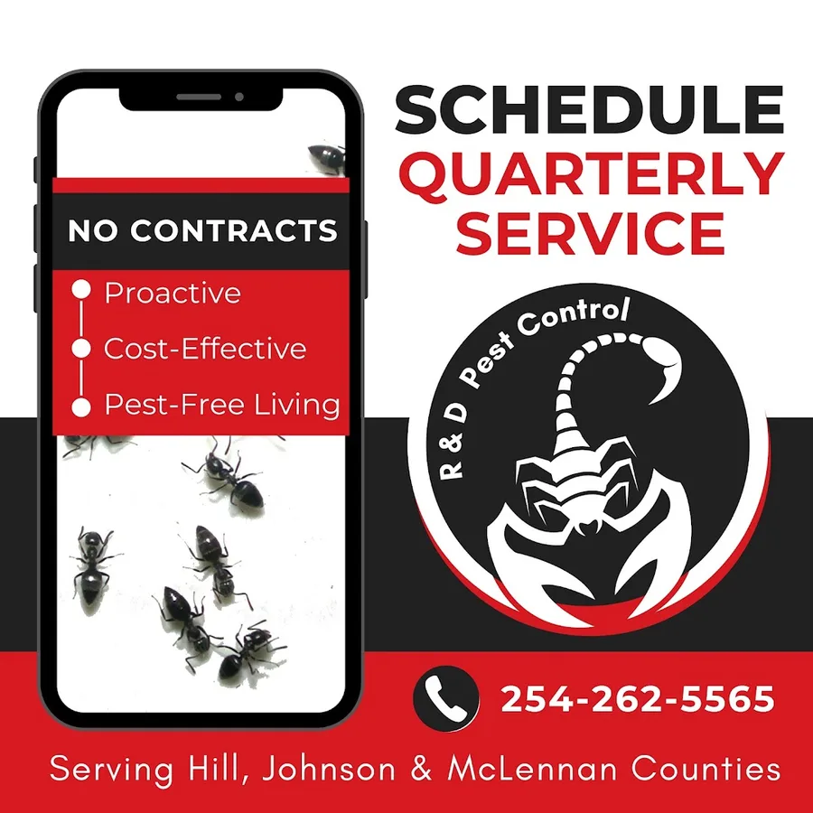 R&D Pest Control in West, TX — business photo 6