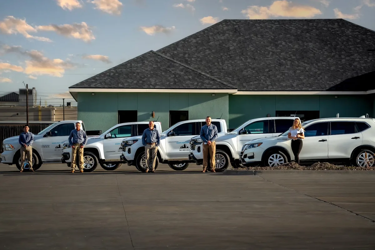 Scope Pest Control — pest control in Corpus Christi, NUECES County, TX