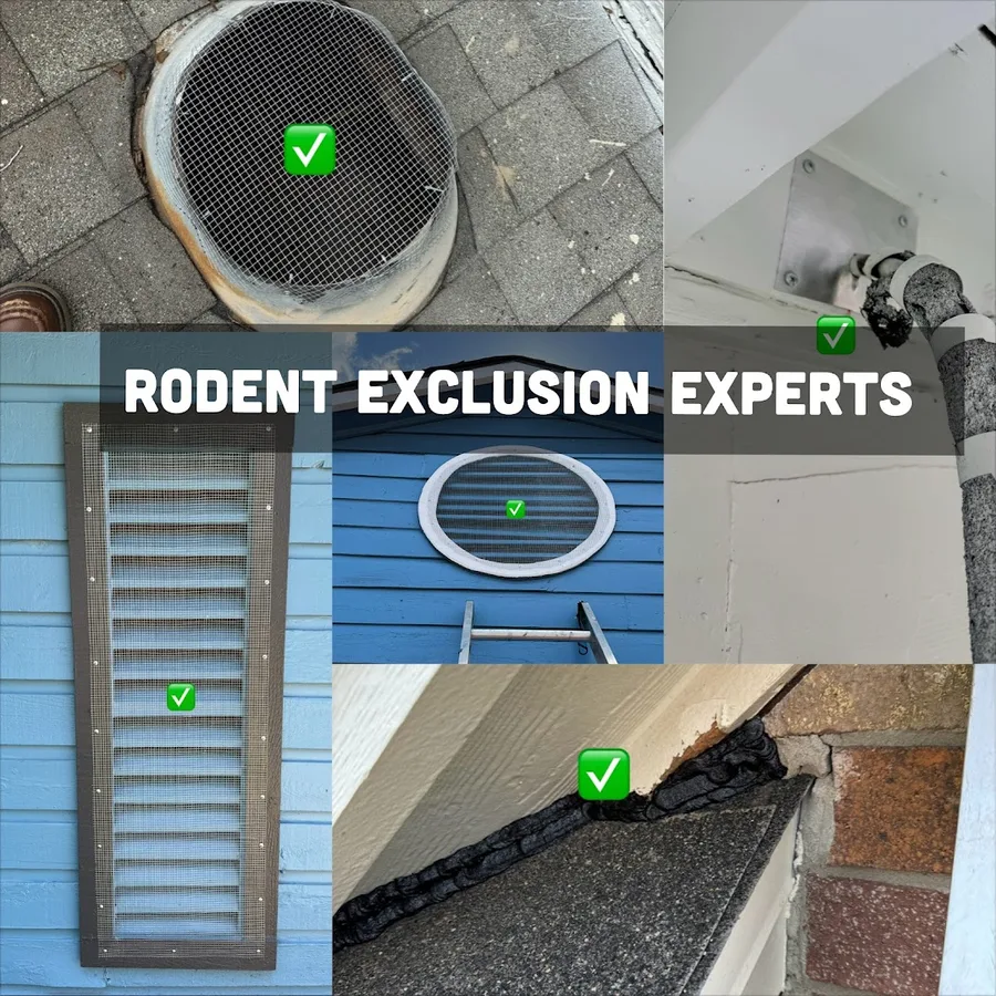 Scope Pest Control in Corpus Christi, TX — business photo 3