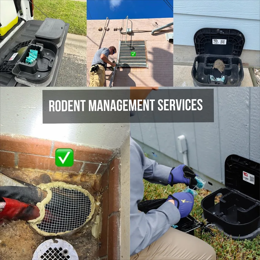 Scope Pest Control in Corpus Christi, TX — business photo 5