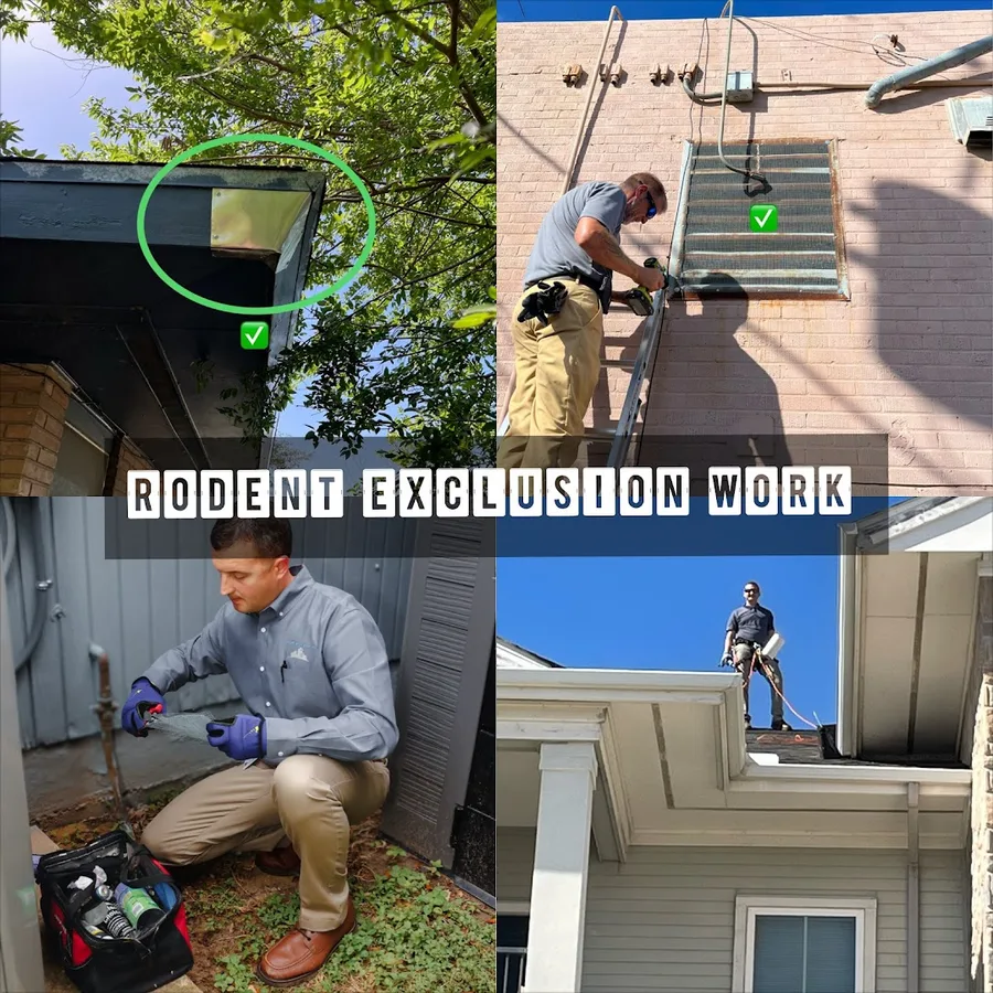 Scope Pest Control in Corpus Christi, TX — business photo 6