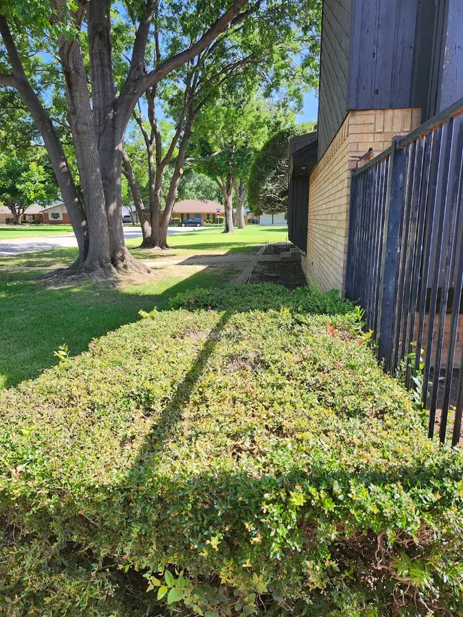 EnviroGuard Pest Control in Amarillo, TX — business photo 3
