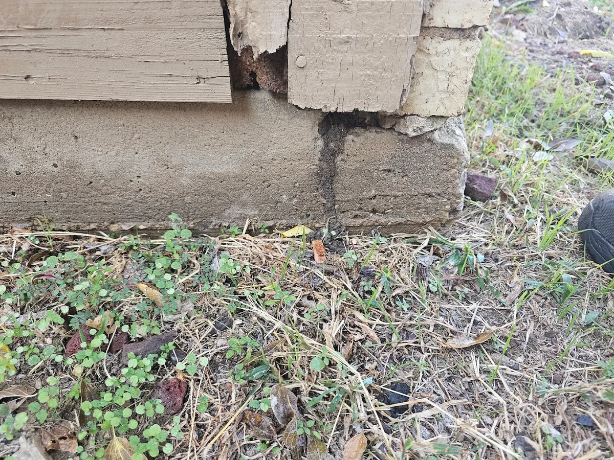 Lion's Den Pest Control — pest control in Dallas, DALLAS County, TX