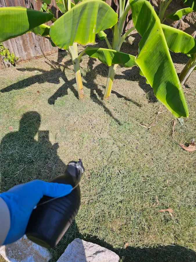 Lion's Den Pest Control in Dallas, TX — business photo 5