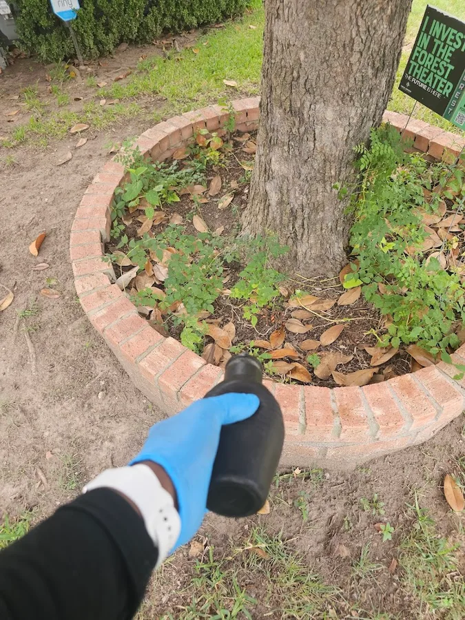 Lion's Den Pest Control in Dallas, TX — business photo 6