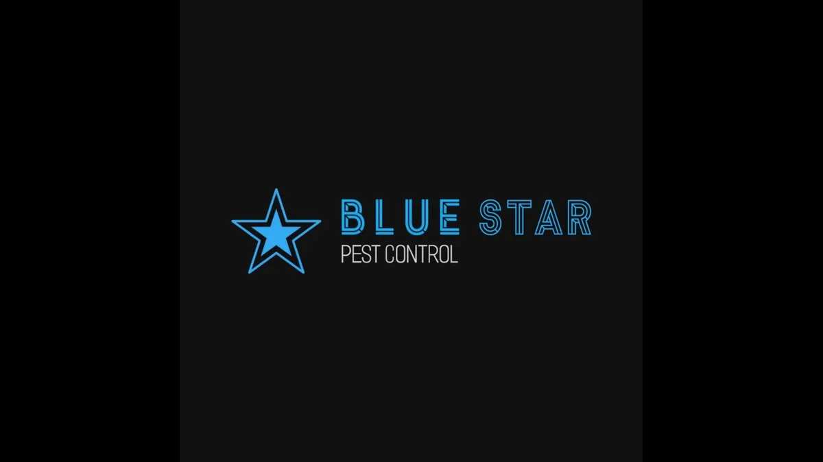 Blue Star Pest Control in McKinney, TX — business photo 3