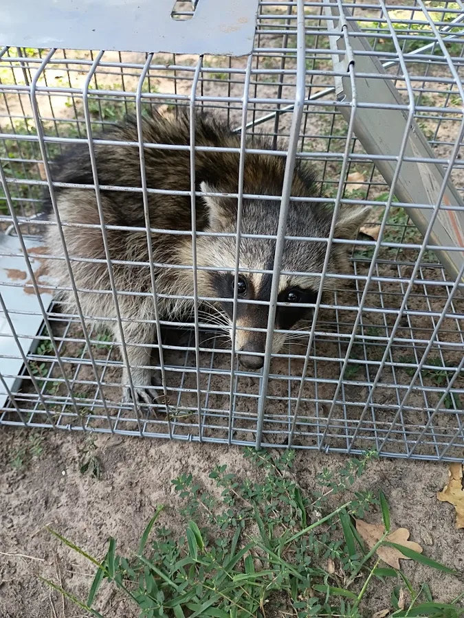 Priority Pest Prevention in Azle, TX — business photo 6