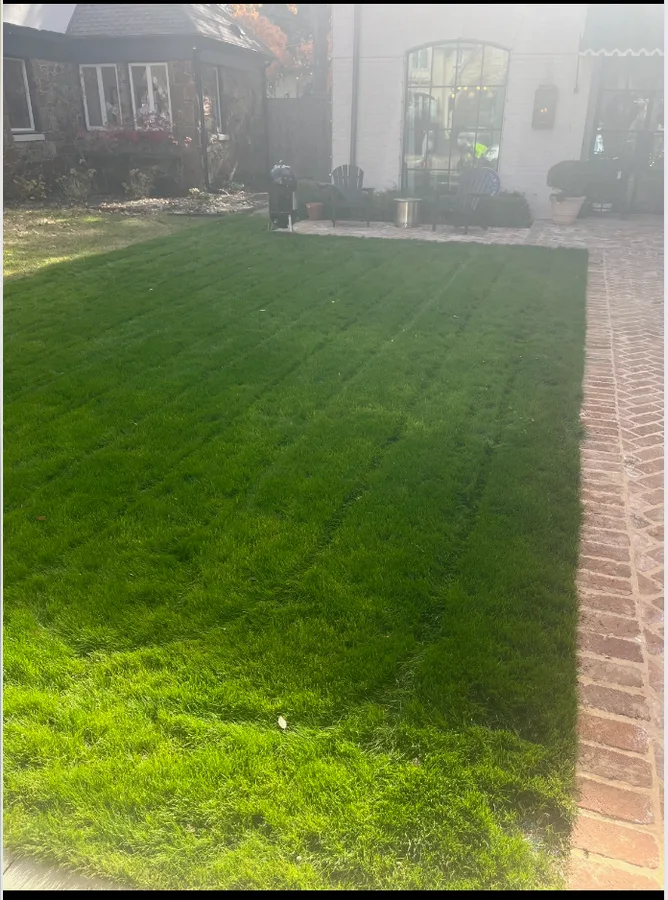 Victory Landscapes in Dallas, TX — business photo 4