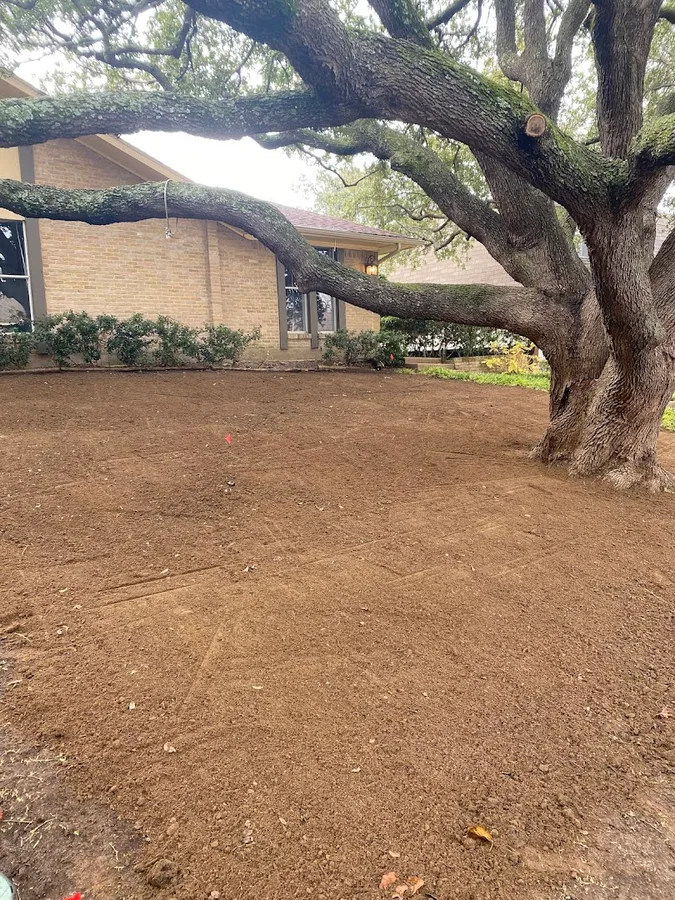 Victory Landscapes in Dallas, TX — business photo 5
