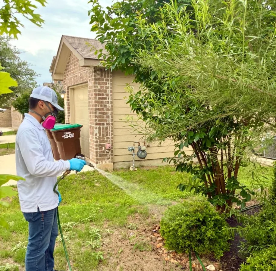 Bluebonnet Pest Solutions in San Antonio, TX — business photo 5