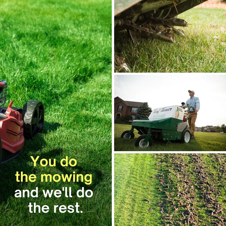 Lawn Doctor of Plano-Frisco-Little Elm in The Colony, TX — business photo 3