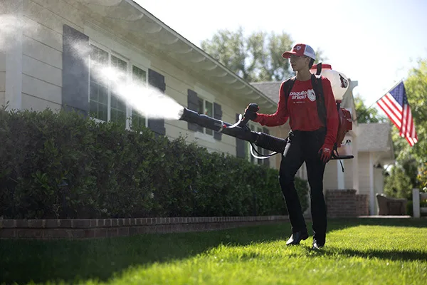 Mosquito Shield of Greater Austin — pest control in Austin, TRAVIS County, TX