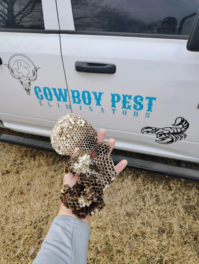 Cowboy Pest Eliminators in Lexington, TX — business photo 4