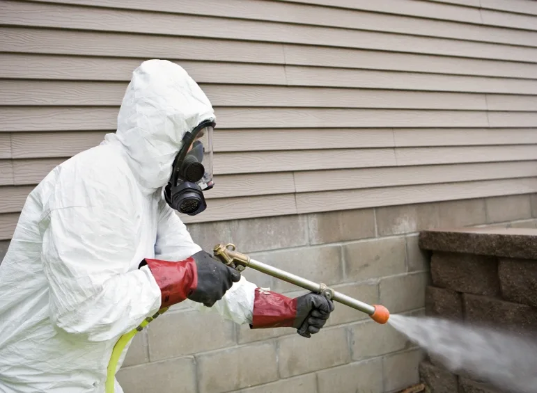 Pest Control Houston King in Houston, TX — business photo 2