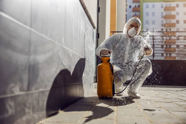 Plano Shield Pest Control — pest control in Plano, COLLIN County, TX