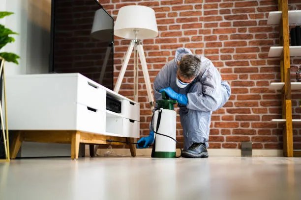 Plano Shield Pest Control in Plano, TX — business photo 3