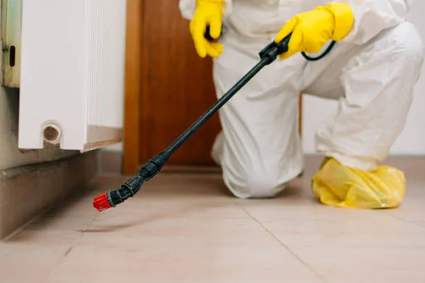 Plano Shield Pest Control in Plano, TX — business photo 6