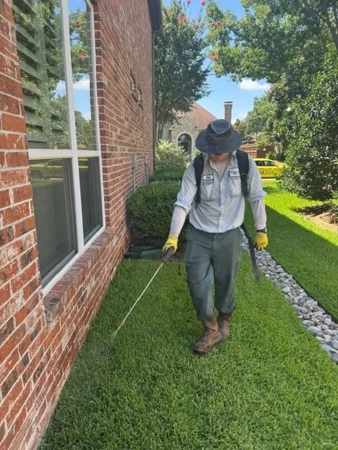 All Safe Pest & Termite — pest control in Plano, COLLIN County, TX